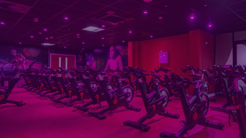 Exclusive Black Friday Offer!